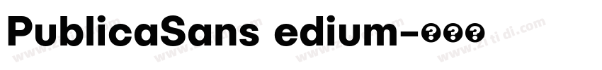 PublicaSans edium字体转换
